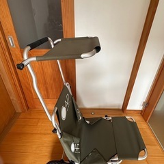 CAP バギーチェア
の画像