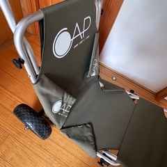 CAP バギーチェア
の画像