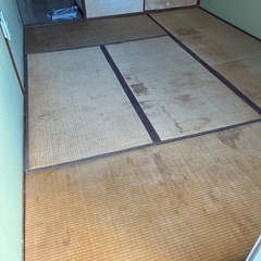【★無料】畳１２畳　損傷等ありの画像