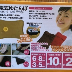 使用回数数回のみ　充電式　湯たんぽ　の画像