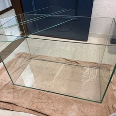 60cm水槽 GEXガラス水槽　グラステリア600　の画像
