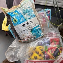 植木鉢、土の画像