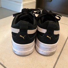 puma 24.5の画像