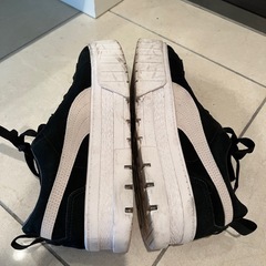 puma 24.5の画像