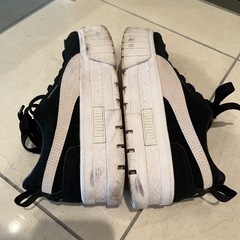 puma 24.5の画像