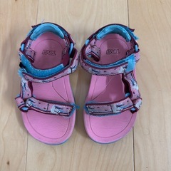 teva 14
センチの画像