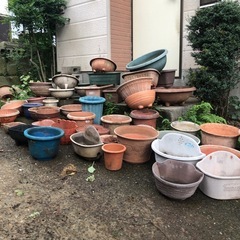 植木鉢いろいろの画像