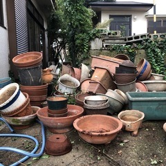 植木鉢いろいろの画像