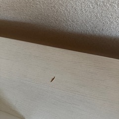 
デスクの画像