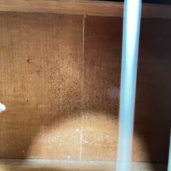 クラシックギター メーカー不明の画像