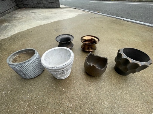 高級鉢 まとめ売り  アガベ グラキリス パキプス 多肉植物