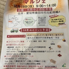 めだか販売、めだか掬い