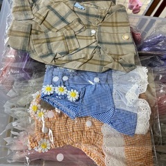 ペット洋服の画像