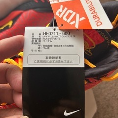 新品未使用ナイキ　レブロン NXXT ジーニサス EP  27.5㎝　の画像