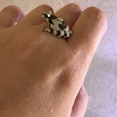 ミルキーフロッグの画像