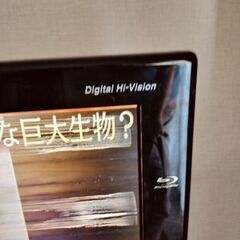 世界の亀山モデルのテレビの画像