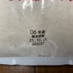 お米 10kg 精米済　あいちのかおりの画像