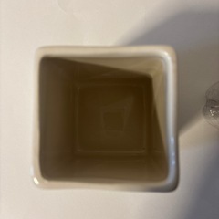 沖縄有名シーフード店サムズの陶器の画像