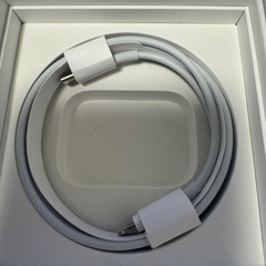 AirPods pro 第2世代 Lightningモデルの画像
