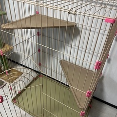犬・猫用ケージの画像