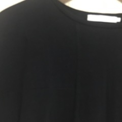 AMERICAN HOL IC/ブラックTシャツの画像