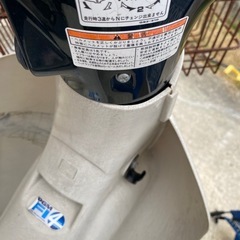 リトルカブの画像