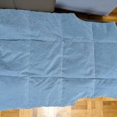 バルマンのフェザーダウンベストの画像