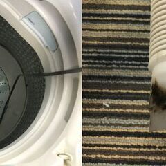 ♪AQUA AQW-S6M アクア 全自動電気洗濯機 2021年製 容量6.0kg ホワイト 通電確認済み 現状品 中古 (NF251018) Zi-2298の画像