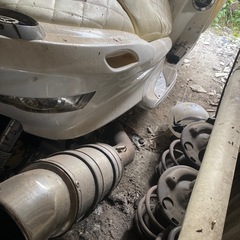 マジェスティ　の画像