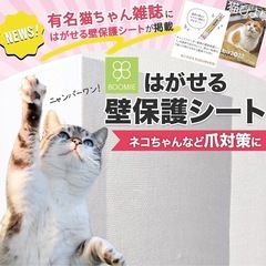 BOOMIE【ニャンとも不思議な壁保護シート】はがせる 猫 壁紙保護 シート ひっかき 防止 壁 半透明 ねこ しつけ用品 (44ｃｍ×2.4ｍ)の画像