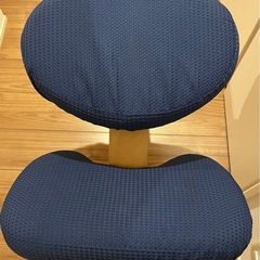 バランスイージー　カバー付きの画像