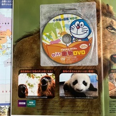 小学館の図鑑／NEO／動物／DVDの画像