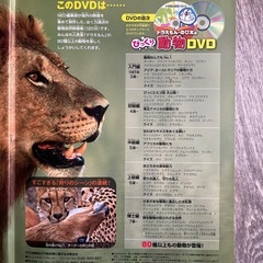小学館の図鑑／NEO／動物／DVDの画像