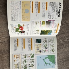 小学館の図鑑／植物／NEO／DVD付きの画像