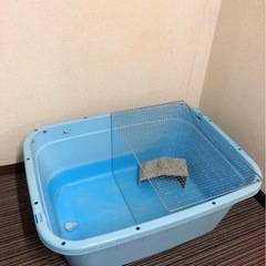 亀　飼育セットの画像