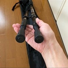 ANTI SHOCKトレッキングポールの画像