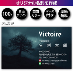 名刺印刷 100枚 両面 フルカラー 紙ケース付 No.2…