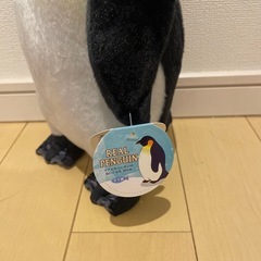 【タグ付き】リアルなペンギンのぬいぐるみの画像
