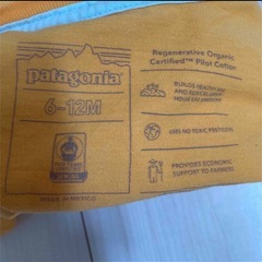 patagonia ベビー　ティシャツ　6-12M (70サイズ)の画像