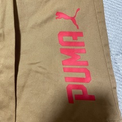商談中PUMAハーフパンツ140の画像