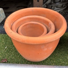 全部で100円　鉢植え11個の画像