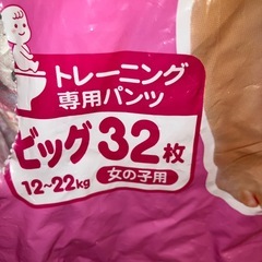 おむつ、トレーニングおむつ、水遊び用パンツの画像