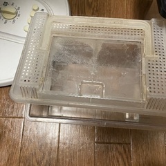 飼育用プラケース　2点の画像