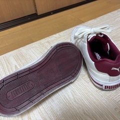 プーマ スニーカー 23cmの画像