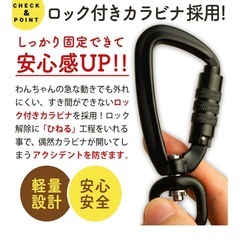 ローグリード20m 大型犬・中型犬の画像