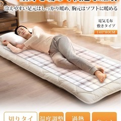 電気毛布　敷
の画像