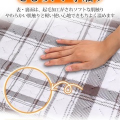 電気毛布　敷
の画像