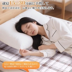 電気毛布　敷
の画像