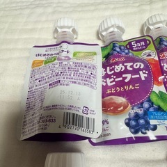 はじめてのベビーフード　離乳食　21個セットの画像