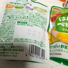 はじめてのベビーフード　離乳食　21個セットの画像